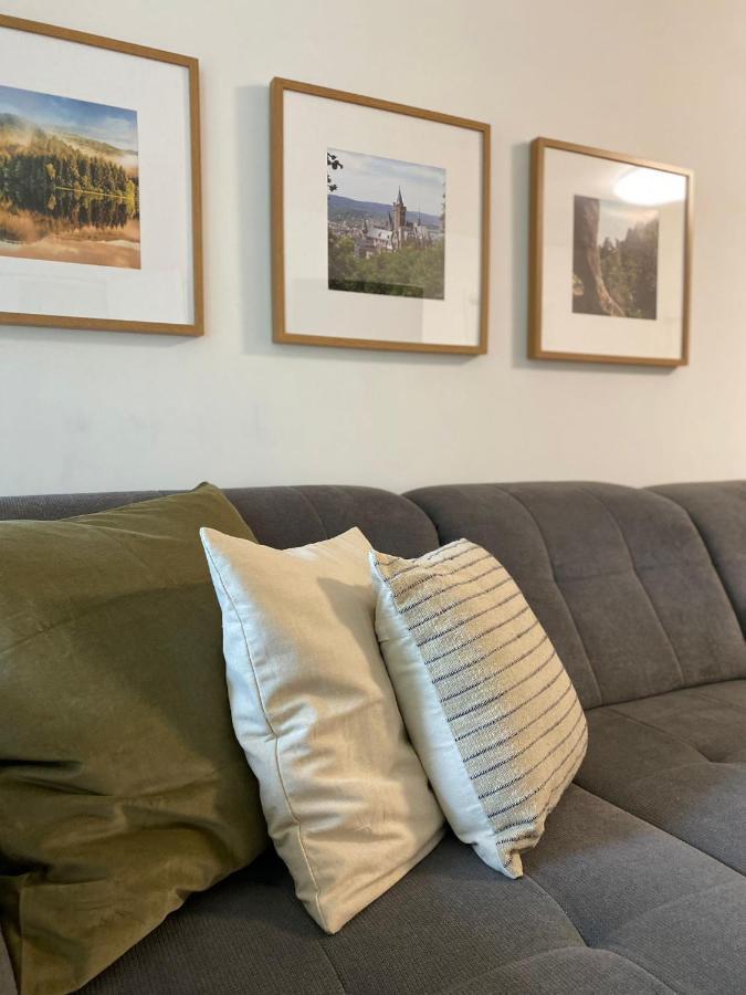 Ferienwohnung Braunlage-Harz Schwimmbad-Sauna, Wlan, Parkplatz מראה חיצוני תמונה